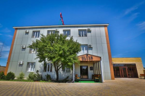 Silver Hotel